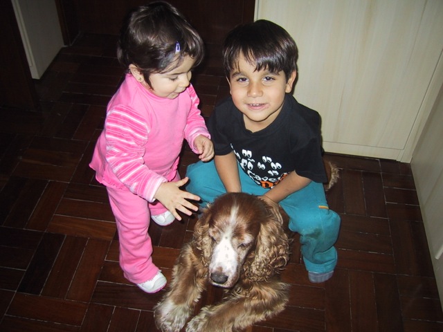 200505 - Finde em POA/RS - 09/11